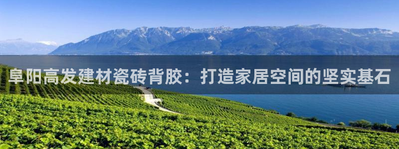 杏鑫娱乐平台登录