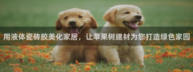 杏鑫平台下载安装
