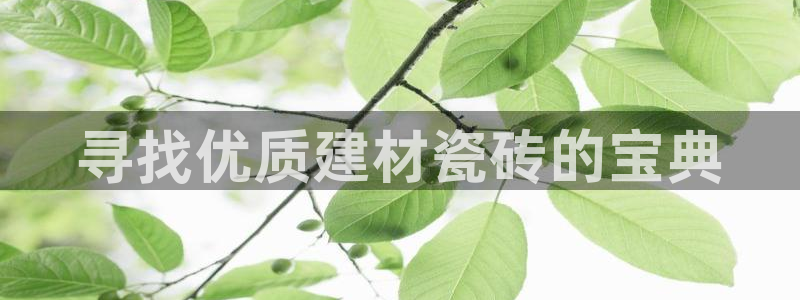 杏鑫娱乐平台测速
