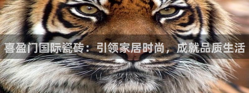 杏鑫平台在线注册