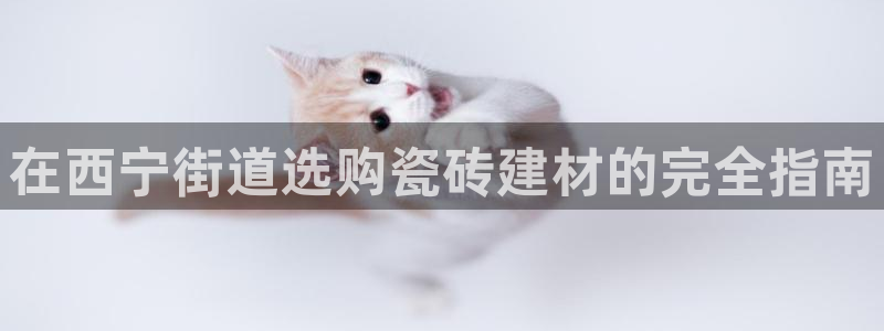 杏鑫平台怎么样