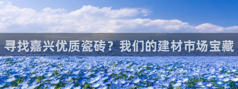 杏鑫平台注册入口在哪