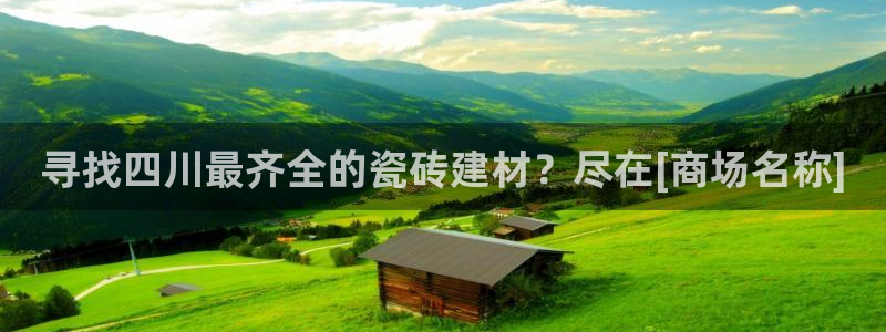 杏鑫官网最新信息