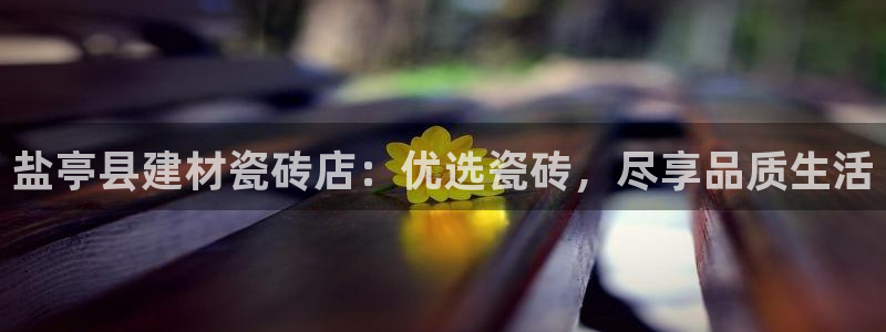 杏鑫官网最新信息