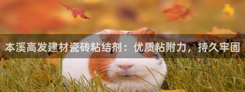 杏鑫官方平台怎么样啊安全吗