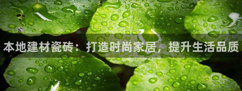 杏鑫平台代理怎么做赚钱