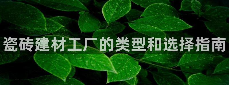 杏鑫娱乐是合法的吗?
