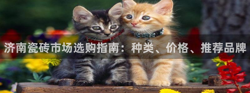 杏鑫登录注册