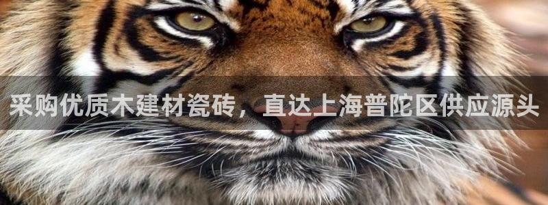 杏鑫注册登录地址