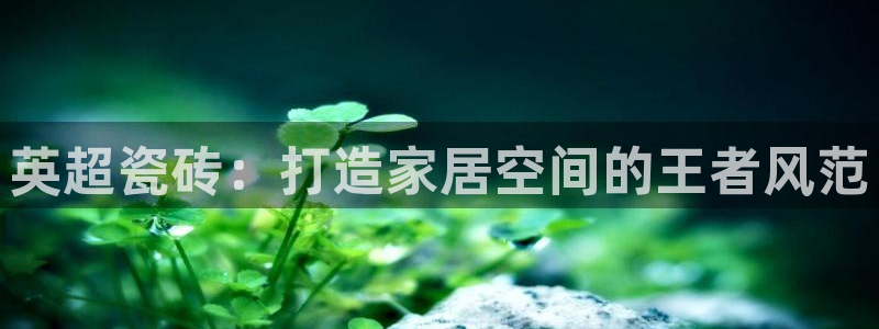 杏鑫平台在线注册流程