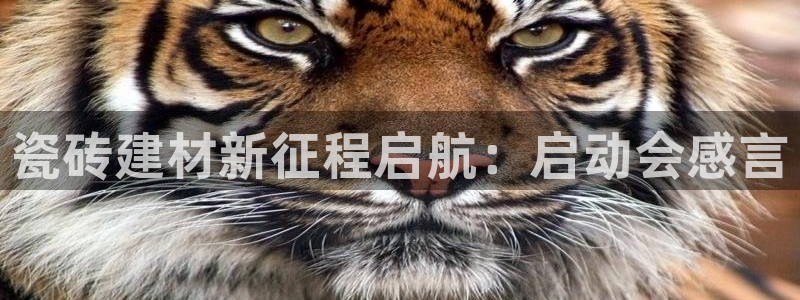 杏鑫平台代理注册多少钱啊