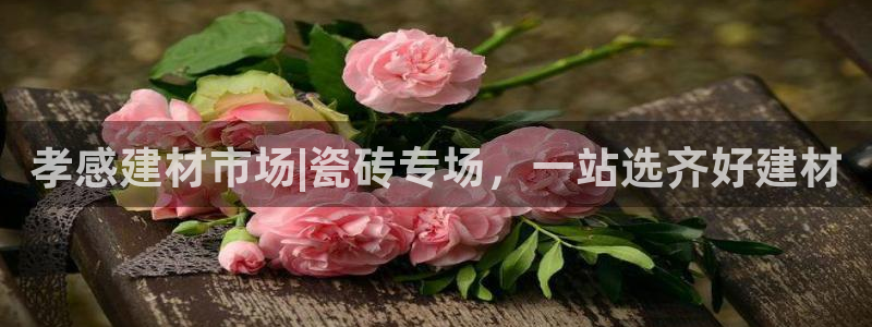 杏鑫官方平台怎么样啊安全吗