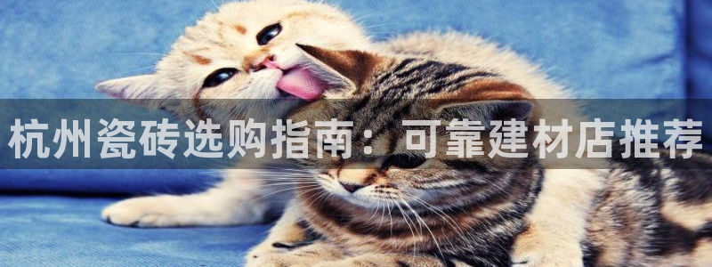 杏鑫平台代理注册多少钱啊