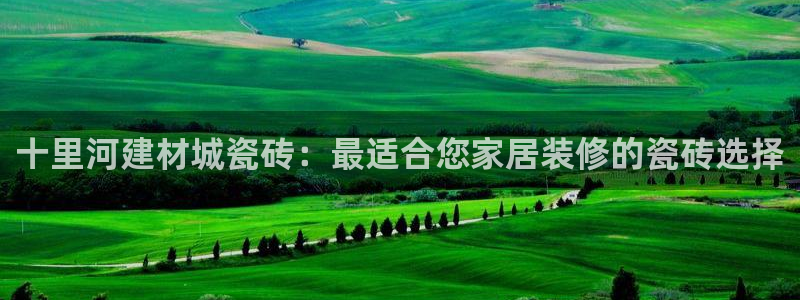 杏鑫官网最新信息