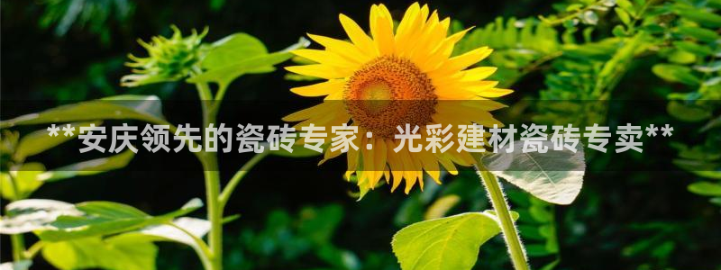 杏鑫平台在线注册流程