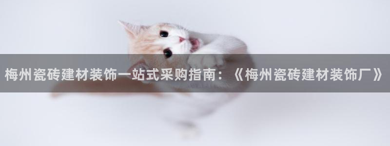 杏鑫娱乐官网登录不了