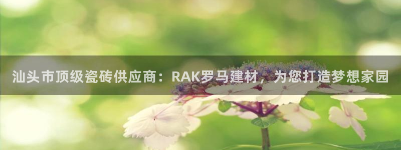 杏鑫平台测速怎么样