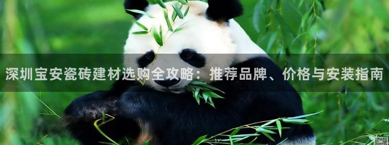 杏鑫平台代理注册多少钱一个