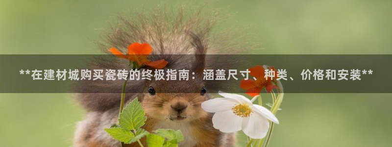 杏鑫代理注册登录