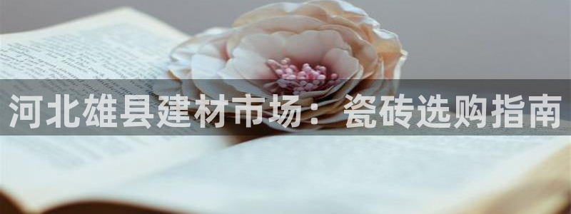 杏鑫招商总代
