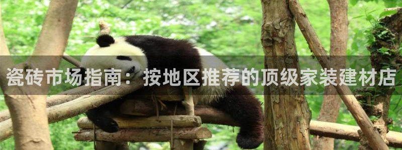 杏鑫平台登录地址在哪