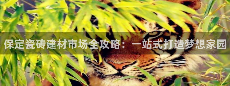杏鑫平台怎么样黑钱吗知乎推荐
