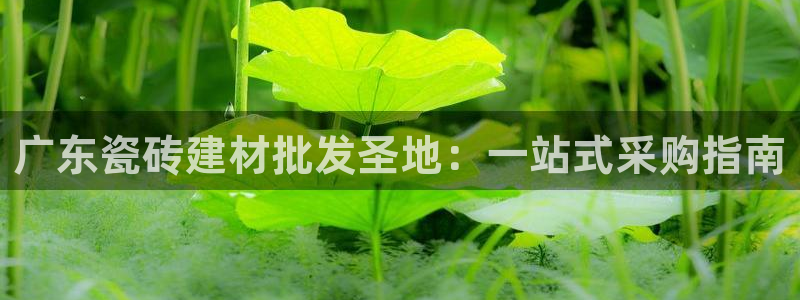 杏鑫平台怎么样黑钱吗安全吗可靠吗