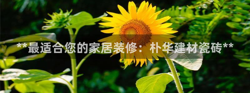 杏鑫娱乐官方网站客户端下载