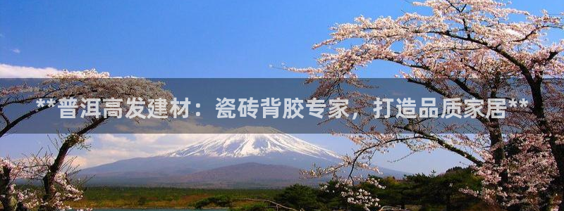 杏鑫娱乐平台测速怎么样