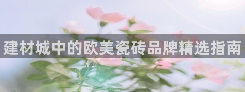 杏鑫平台代理注册多少钱一个