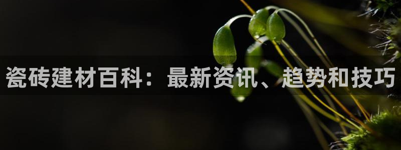 杏鑫平台正规吗可信吗
