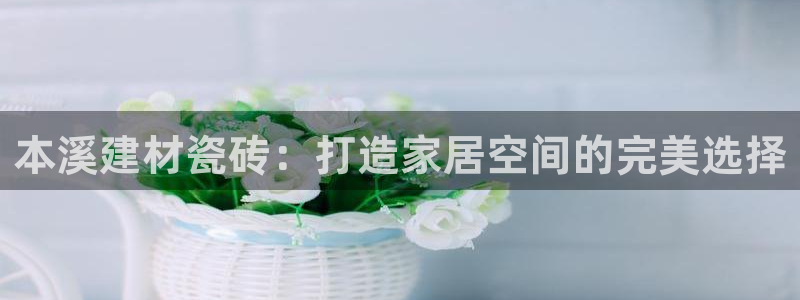 杏鑫娱乐平台