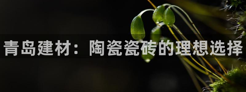 杏鑫平台提供