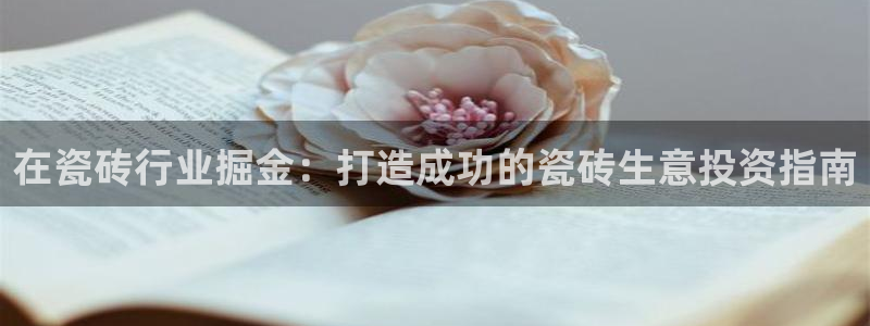 杏鑫招商总代