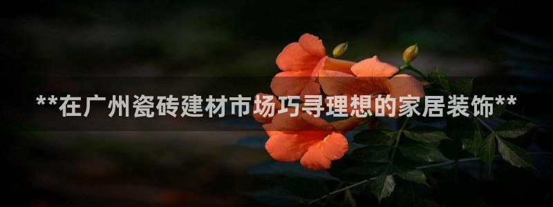 杏鑫官网最新信息新闻