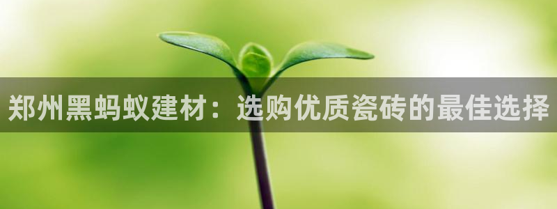 杏鑫平台野马联盟怎么样