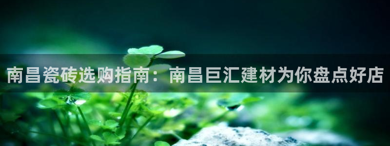 杏鑫手机客户端