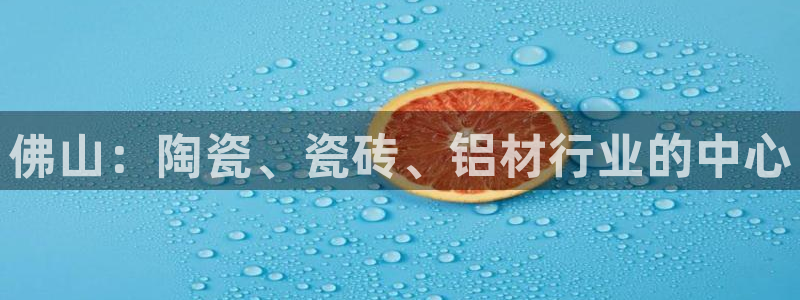杏鑫官网最新信息