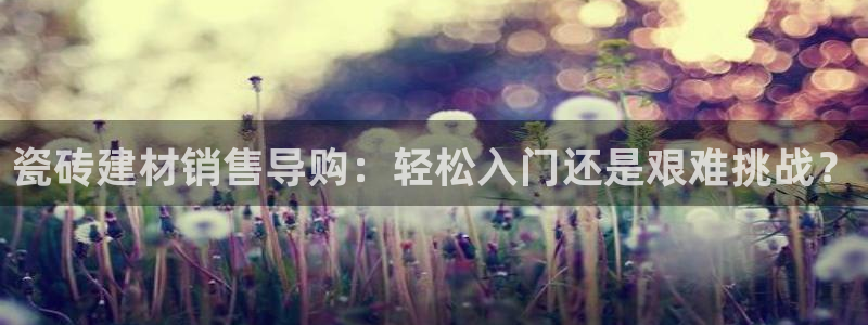 杏鑫官方平台怎么样啊可靠吗
