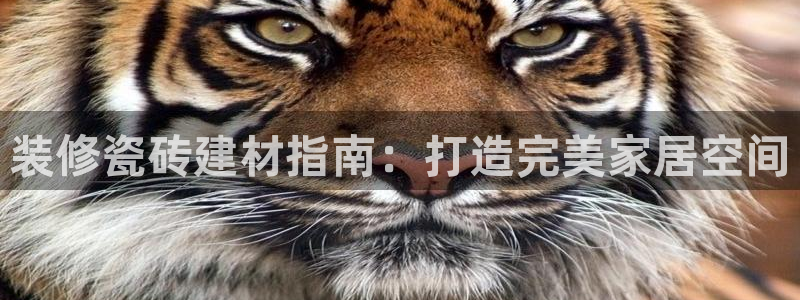 杏鑫平台招商怎么样可靠吗