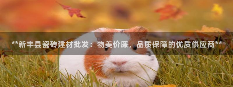 杏鑫娱乐怎么样