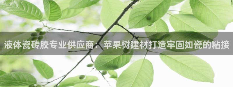 杏鑫平台招商电话是多少