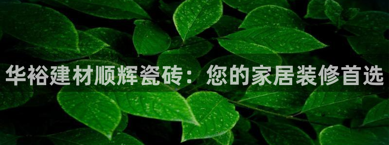 杏鑫平台怎么样黑钱吗安全吗可靠吗