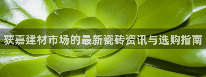 杏鑫娱乐是真的吗