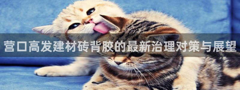 杏鑫娱乐平台