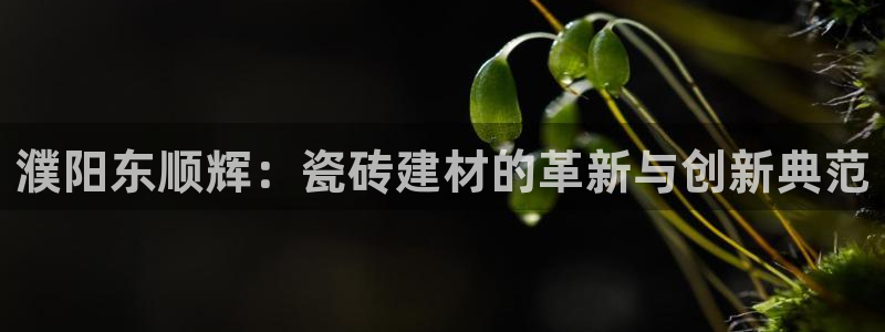 杏鑫娱乐-官方网站
