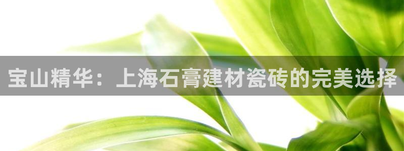 杏鑫注册登录网址是什么