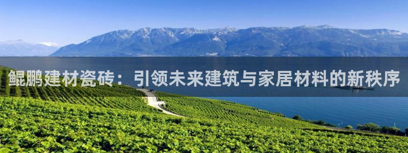 杏鑫平台代理怎么样赚钱