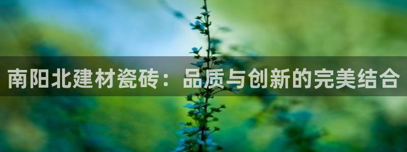 杏鑫平台是黑平台吗知乎