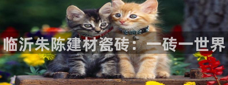 杏鑫平台代理怎么样